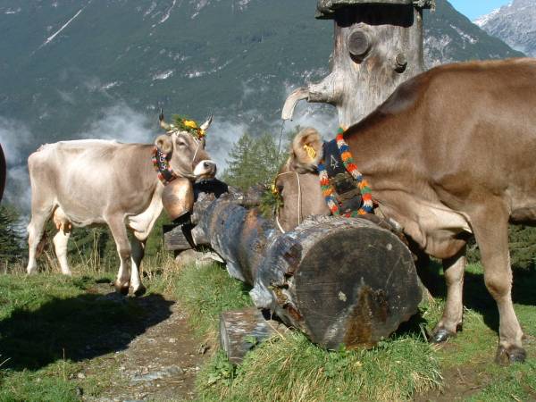 Khe auf dem Weg zur Htte